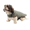 Dog Jacket for Winters