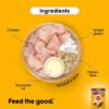 Pedigree Adult Wet Dog Food, Chicken & Liver Chunks in Gravy, 70 g