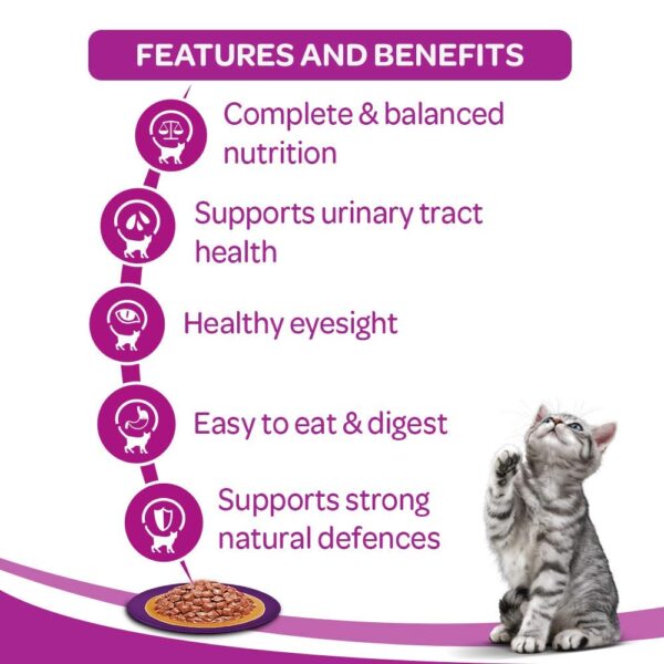 Whiskas Kitten (2-12 months) Wet Cat Food, Tuna in Jelly,