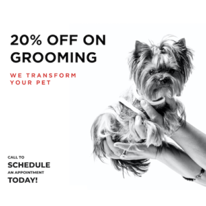 Dog Grooming