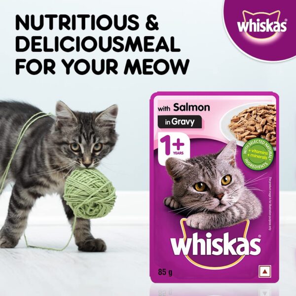 Whiskas Wet Cat Food for Adult Cats (1+Years), Salmon in Gravy Flavour