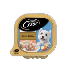 Cesar Adult Wet Dog Food, Salmon & Potato, 100g Tray