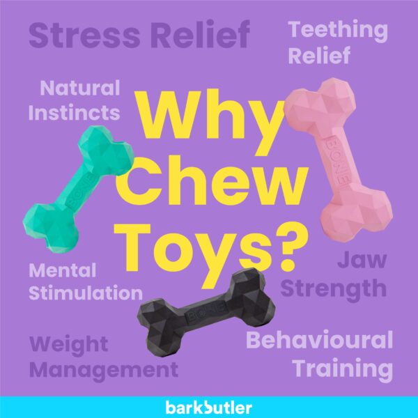 Barkbutler Chu the bone Green - Image 5