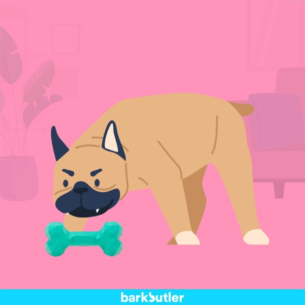 Barkbutler Chu the bone Green - Image 2