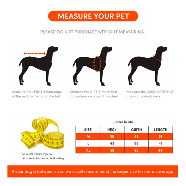 FOFOS Pet Raincoat-Dinosaur - Image 6