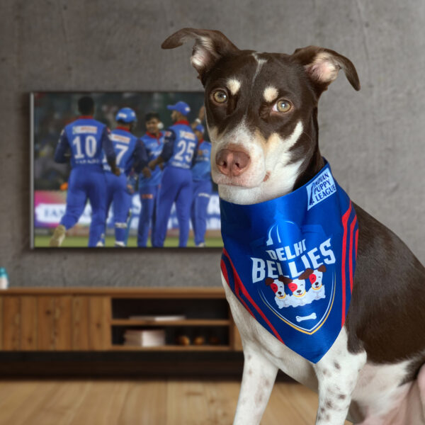 Dog Bandanas - Image 6
