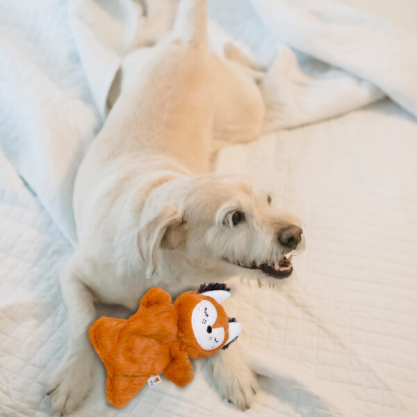FOFOS Glove plush Fox - Image 2