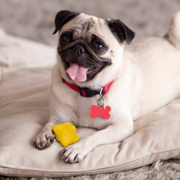 Barkbutler Just A Snitch - Yellow - Image 3