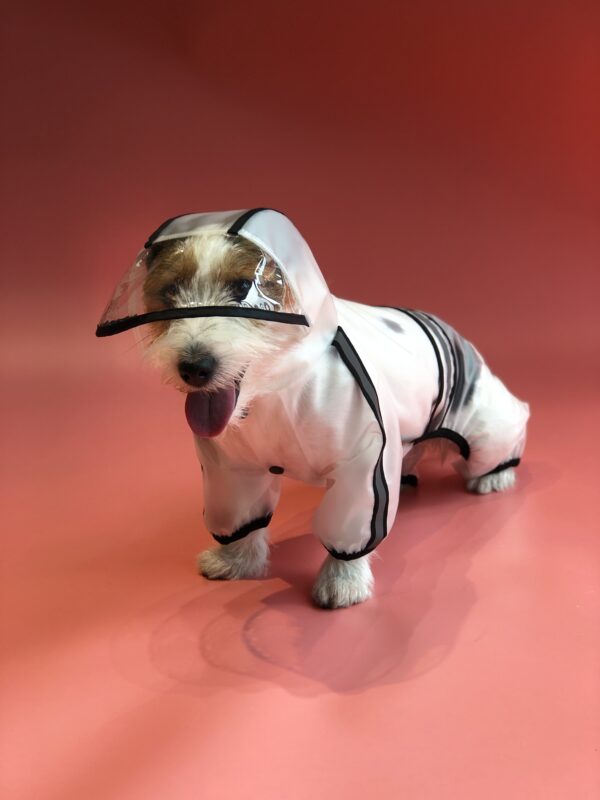 FOFOS Pet Four Leg Raincoat-Black - Image 2