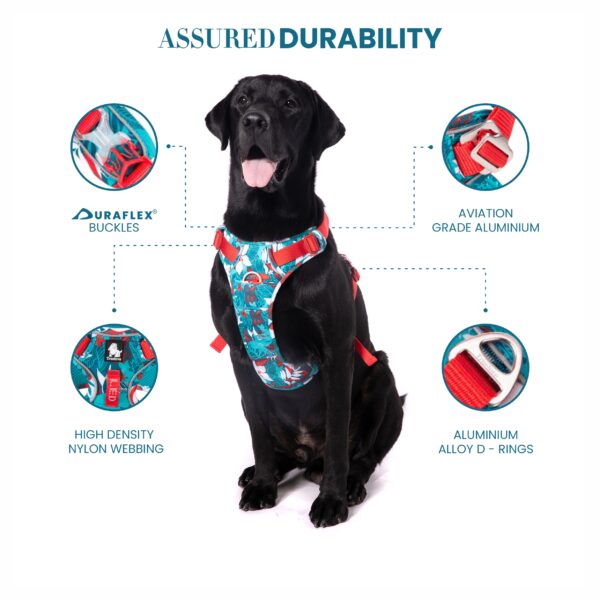 Truelove No-Pull Special Edition Harness S