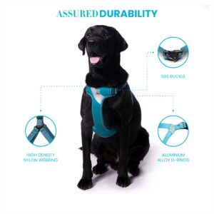 TRUELOVE Step-in Harness with 3M