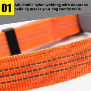 Truelove Padded collar